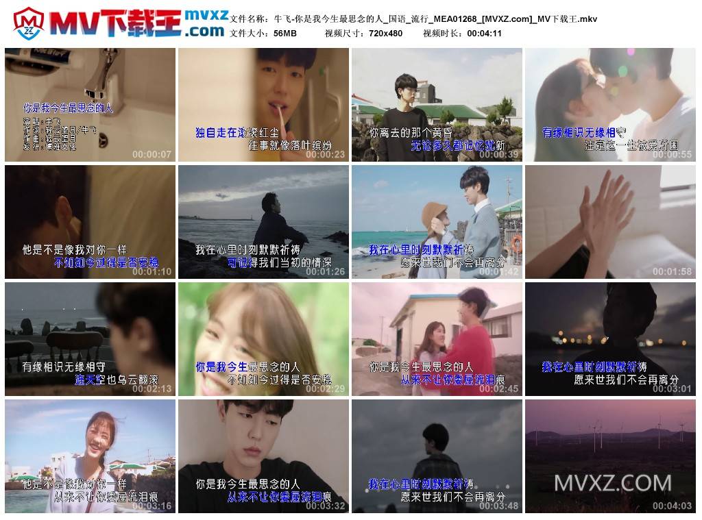 牛飞-你是我今生最思念的人_国语_流行_MEA01268